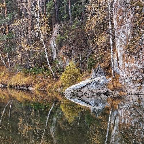 Photo #8402137