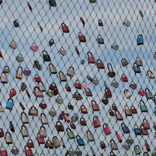 Photo #8402182
