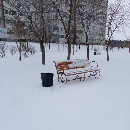 Photo #8402343