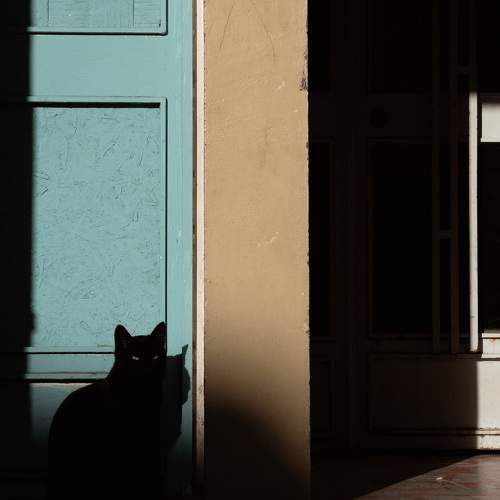 Photo #8402369