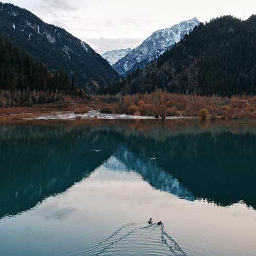Photo #8402729
