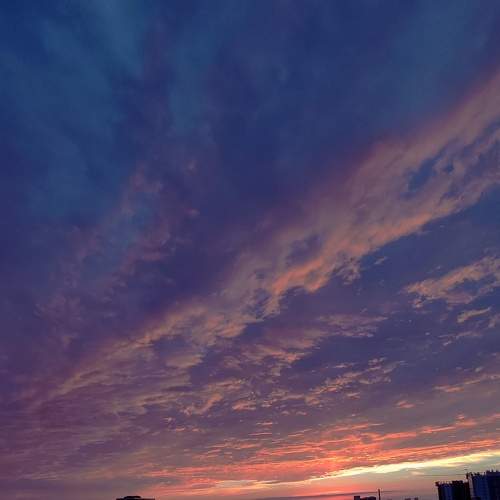 Photo #8402789