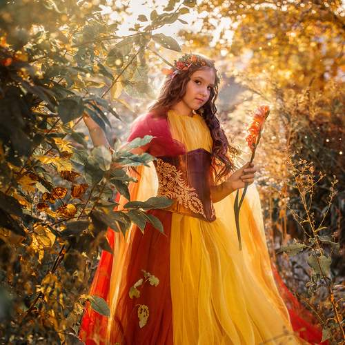 Photo #8402936