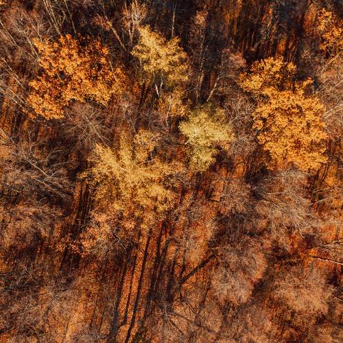 Photo #8403028