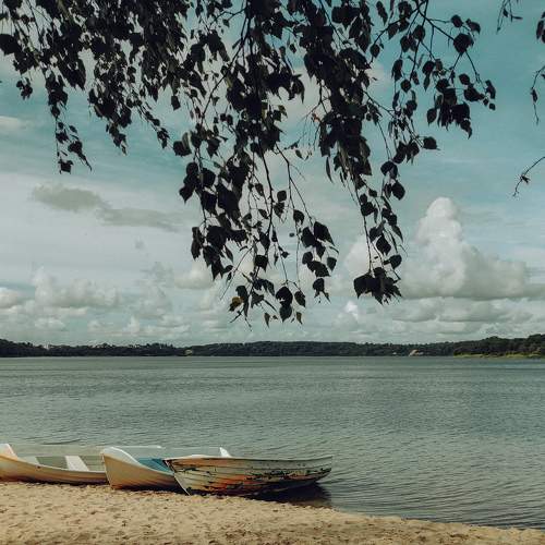 Photo #8403312