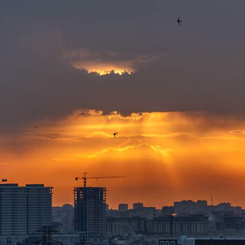 Photo #8403313