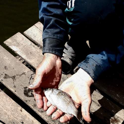 Photo #8403519