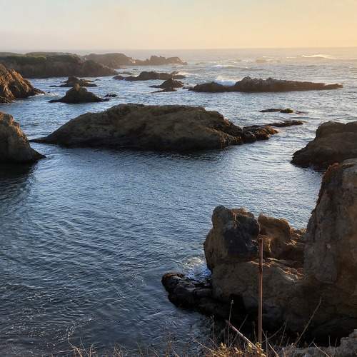 Photo #8403815