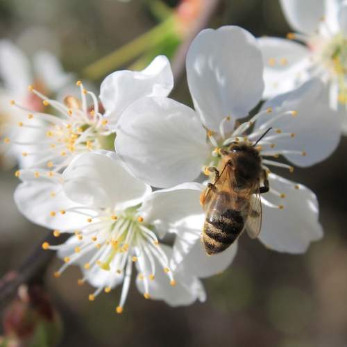 Photo #8403875