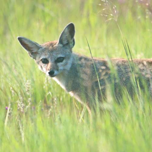 Photo #8404385