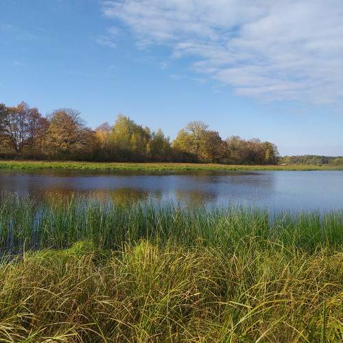 Photo #8404501