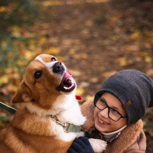 Photo #8404538