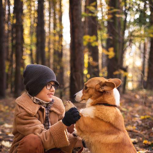 Photo #8404539