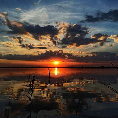 Photo #8404589