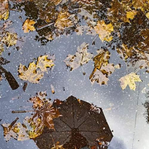 Photo #8405074