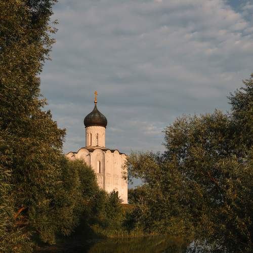 Photo #8405698