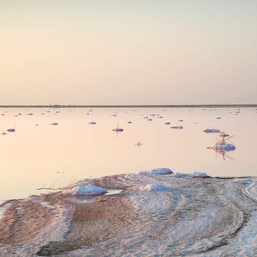 Photo #8405756