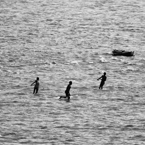 Photo #8405919