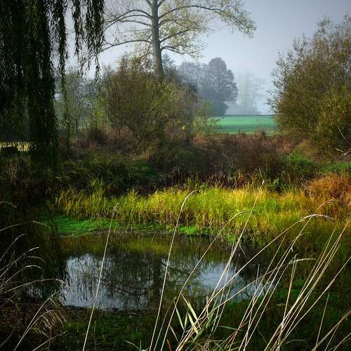 Photo #8406028