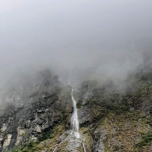 Photo #8406216