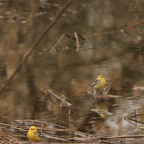Photo #8406223
