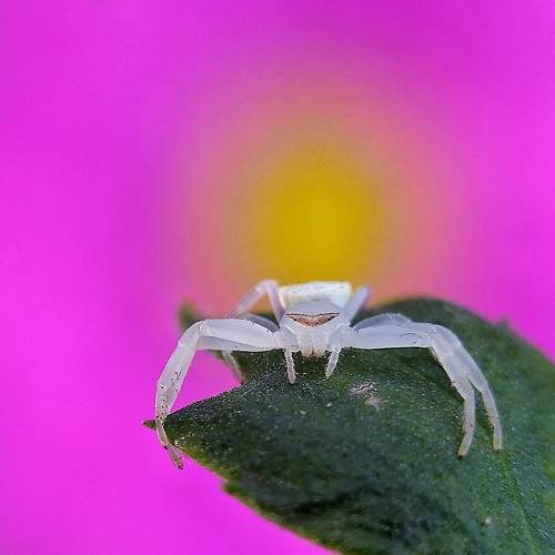 Photo #8406367