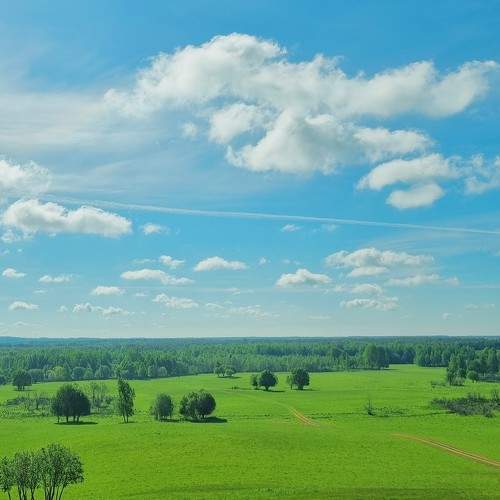 Plain under the June sun