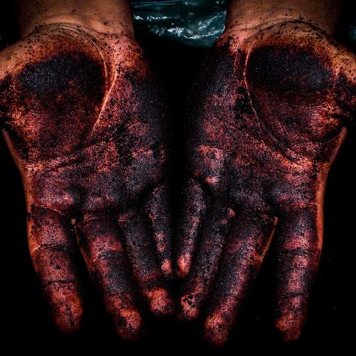 Photo #8406847