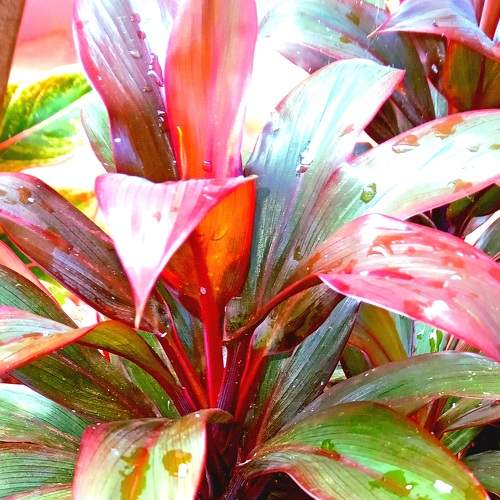 Photo #8406863
