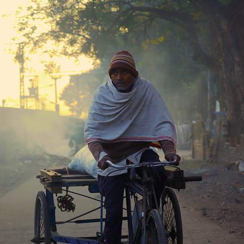 Photo #8407219