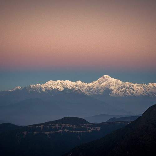 Photo #8407235