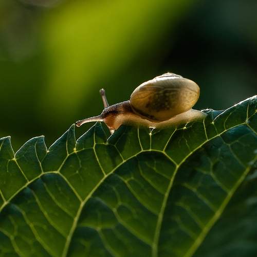 Photo #8407245