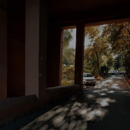 Photo #8407504