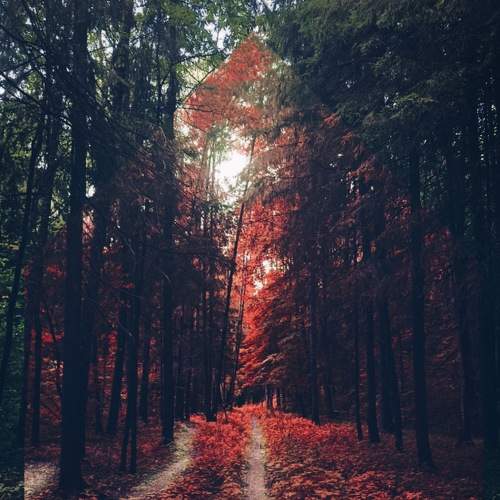 Photo #8407560