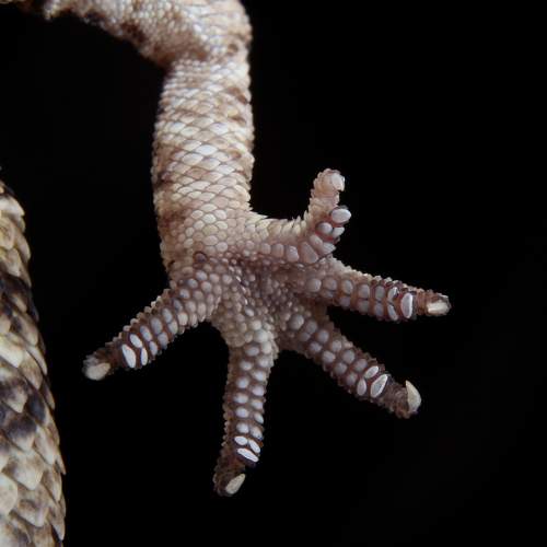 Photo #8407606