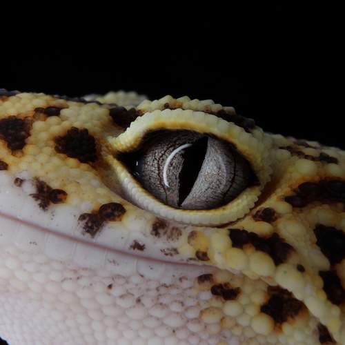 Photo #8407608