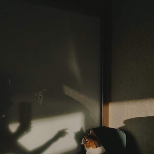 Photo #8407939