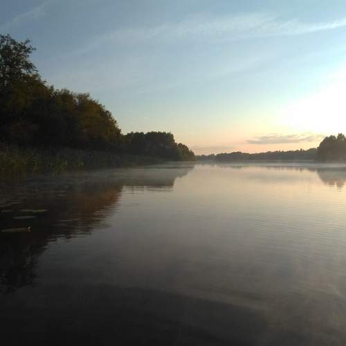 Photo #8408439
