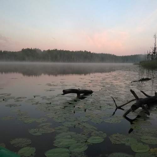 Photo #8408985