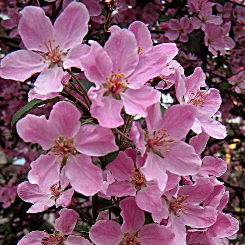 Photo #8409199