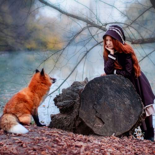 Photo #8409333
