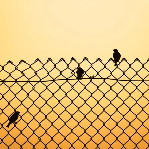 Photo #8409374