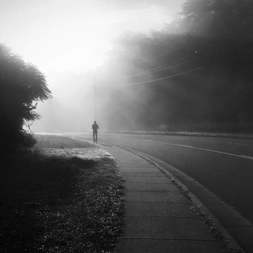 Photo #8409402