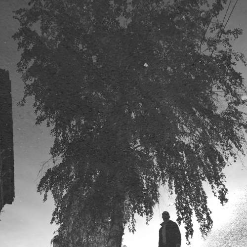Photo #8409819