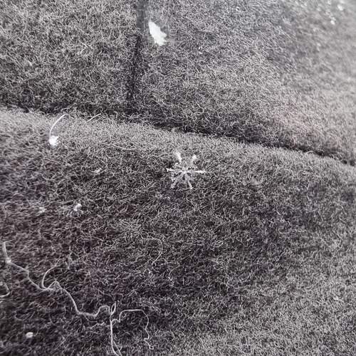 Photo #8409842