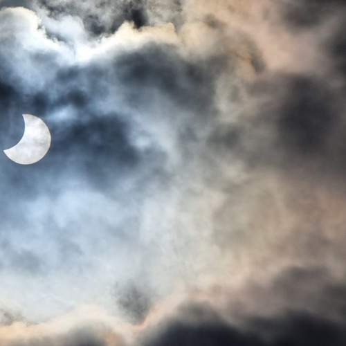 Photo #8409912