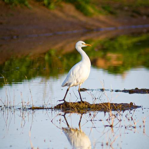 Photo #8410111