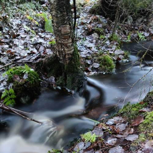 Photo #8410434