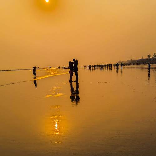 Photo #8410627