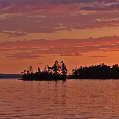 Photo #8411223